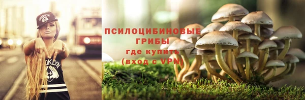 a pvp Богданович