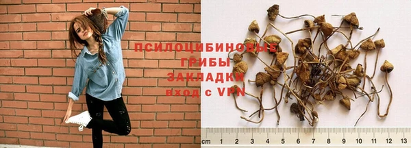 a pvp Богородск
