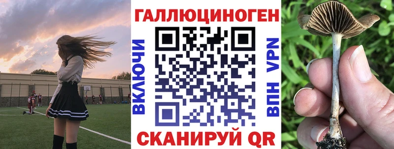 где купить наркотик Велиж Галлюциногенные грибы Cubensis
